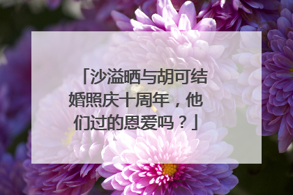 沙溢晒与胡可结婚照庆十周年，他们过的恩爱吗？