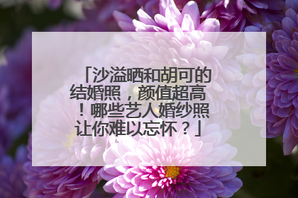 沙溢晒和胡可的结婚照，颜值超高！哪些艺人婚纱照让你难以忘怀？