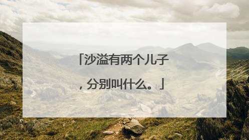 沙溢有两个儿子，分别叫什么。