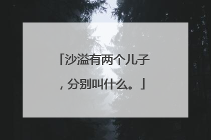沙溢有两个儿子，分别叫什么。