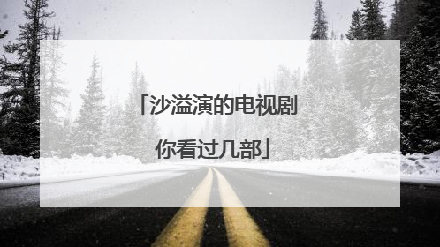 沙溢演的电视剧 你看过几部