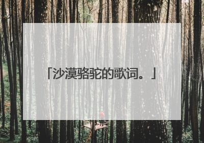 沙漠骆驼的歌词。