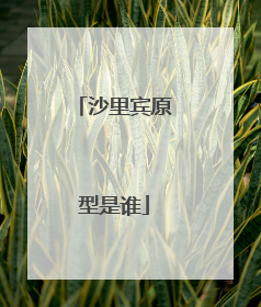 沙里宾原型是谁