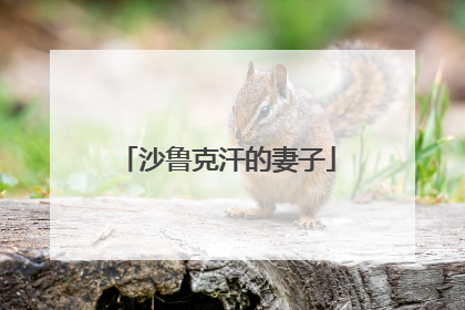 沙鲁克汗的妻子