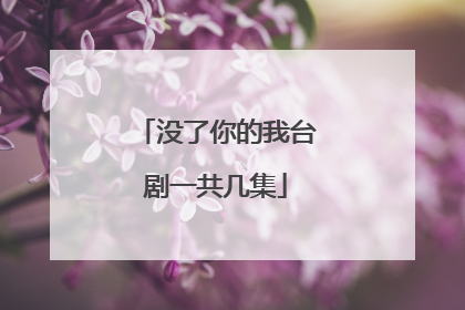 没了你的我台剧一共几集