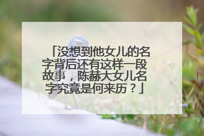 没想到他女儿的名字背后还有这样一段故事，陈赫大女儿名字究竟是何来历？