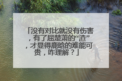 没有对比就没有伤害，有了屈楚萧的“渣”，才显得鹿晗的难能可贵，咋理解？