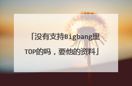 没有支持Bigbang里TOP的吗,要他的资料
