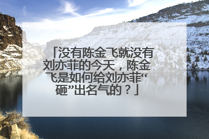 没有陈金飞就没有刘亦菲的今天,陈金飞是如何给刘亦菲“砸”出名气的?