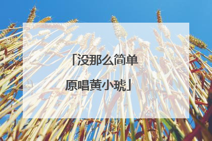 没那么简单原唱黄小琥