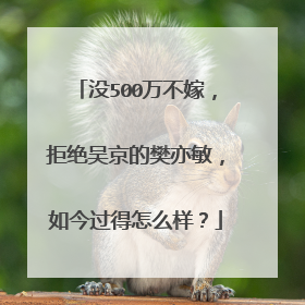 没500万不嫁,拒绝吴京的樊亦敏,如今过得怎么样?
