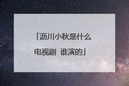 沥川小秋是什么电视剧 谁演的