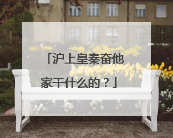 沪上皇秦奋他家干什么的？