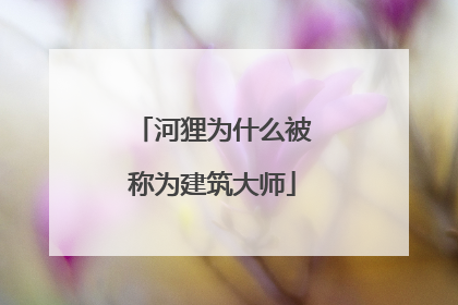 河狸为什么被称为建筑大师