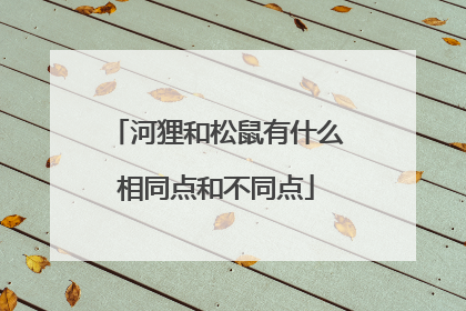 河狸和松鼠有什么相同点和不同点