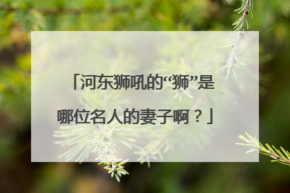 河东狮吼的“狮”是哪位名人的妻子啊?
