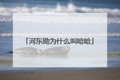 河东勋为什么叫哈哈