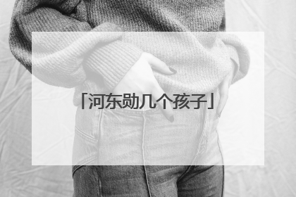 河东勋几个孩子