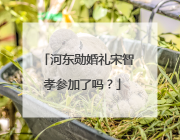 河东勋婚礼宋智孝参加了吗?