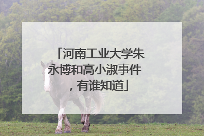 河南工业大学朱永博和高小淑事件,有谁知道