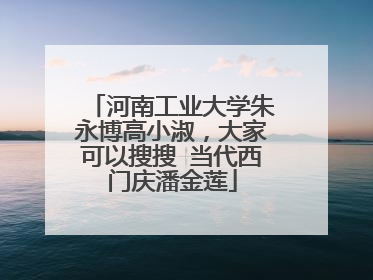 河南工业大学朱永博高小淑，大家可以搜搜 当代西门庆潘金莲
