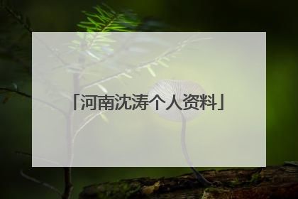 河南沈涛个人资料