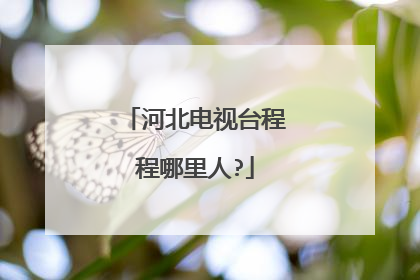 河北电视台程程哪里人?