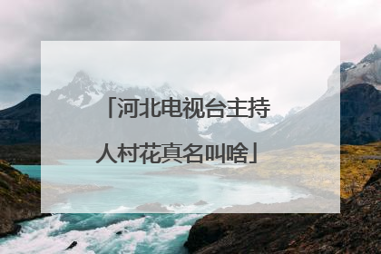 河北电视台主持人村花真名叫啥
