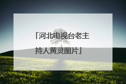 河北电视台老主持人黄灵图片