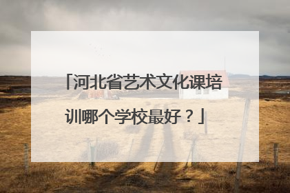 河北省艺术文化课培训哪个学校最好?