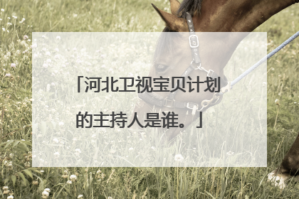 河北卫视宝贝计划的主持人是谁。