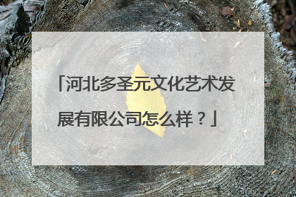 河北多圣元文化艺术发展有限公司怎么样？