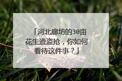 河北廊坊的30亩花生遭盗抢,你如何看待这件事?