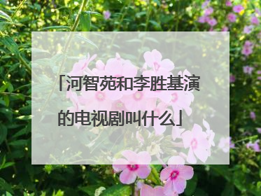 河智苑和李胜基演的电视剧叫什么