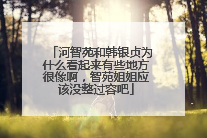 河智苑和韩银贞为什么看起来有些地方很像啊，智苑姐姐应该没整过容吧