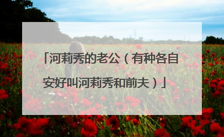 河莉秀的老公（有种各自安好叫河莉秀和前夫）
