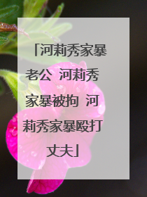 河莉秀家暴老公 河莉秀家暴被拘 河莉秀家暴殴打丈夫