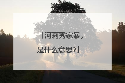 河莉秀家暴,是什么意思?