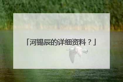 河锡辰的详细资料？