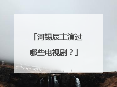 河锡辰主演过哪些电视剧？