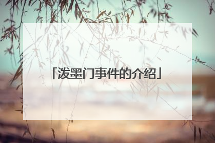 泼墨门事件的介绍