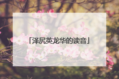 泽尻英龙华的读音