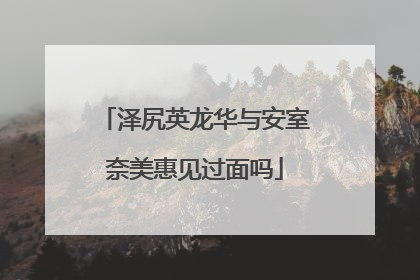 泽尻英龙华与安室奈美惠见过面吗