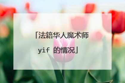 法籍华人魔术师yif 的情况