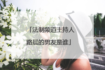 法制频道主持人路晨的男友是谁