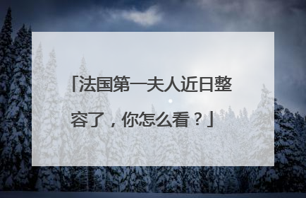 法国第一夫人近日整容了,你怎么看?