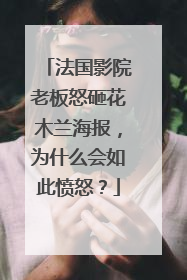 法国影院老板怒砸花木兰海报，为什么会如此愤怒？