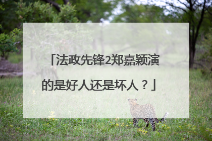 法政先锋2郑嘉颖演的是好人还是坏人?