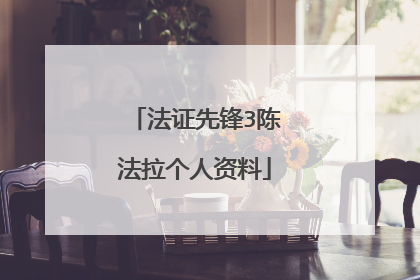 法证先锋3陈法拉个人资料