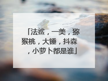 法鲨，一美，猕猴桃，大锤，抖森，小萝卜都是谁